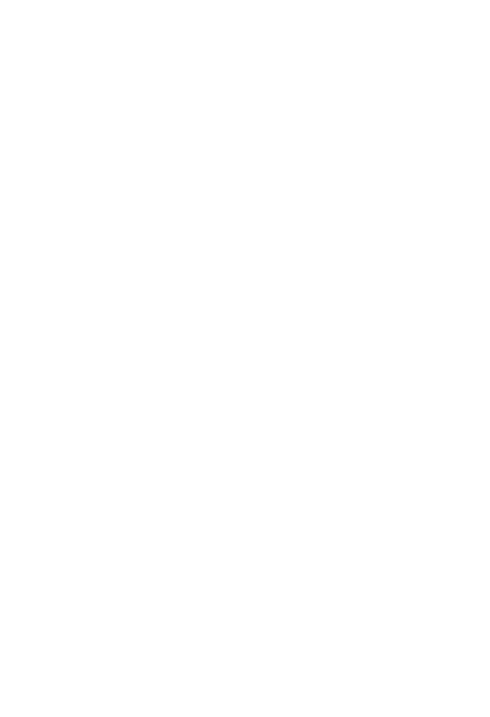 MirrorMore